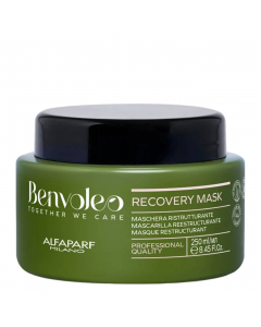 Alfaparf Benvoleo Recovery Máscara Restruturante 250ml