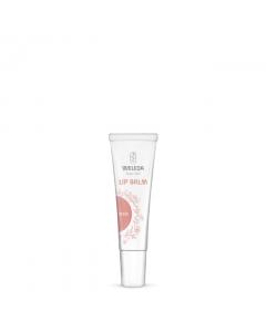 Weleda Lip Balm Rose Bálsamo de Cor 10ml